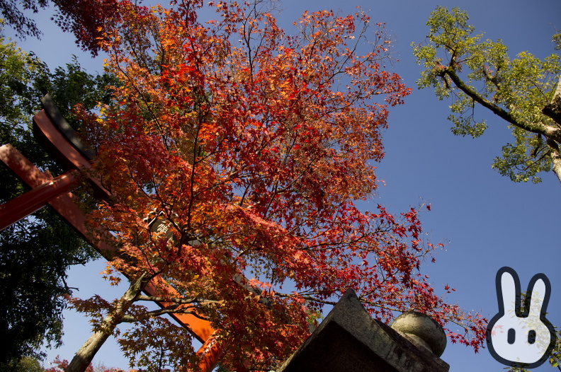 Arashiyama 054.jpg